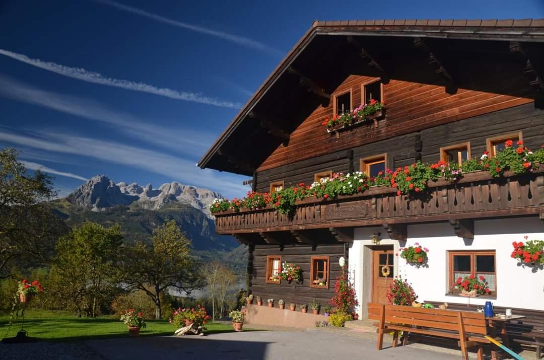 Pferdehof Oberegg Apartamento Werfenweng Exterior foto